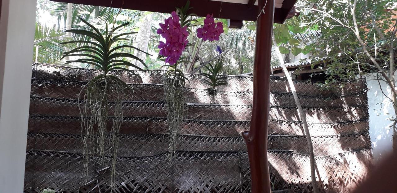 Yaluwa Tourist Rest & Cooking Class Anuradhapura Eksteriør bilde