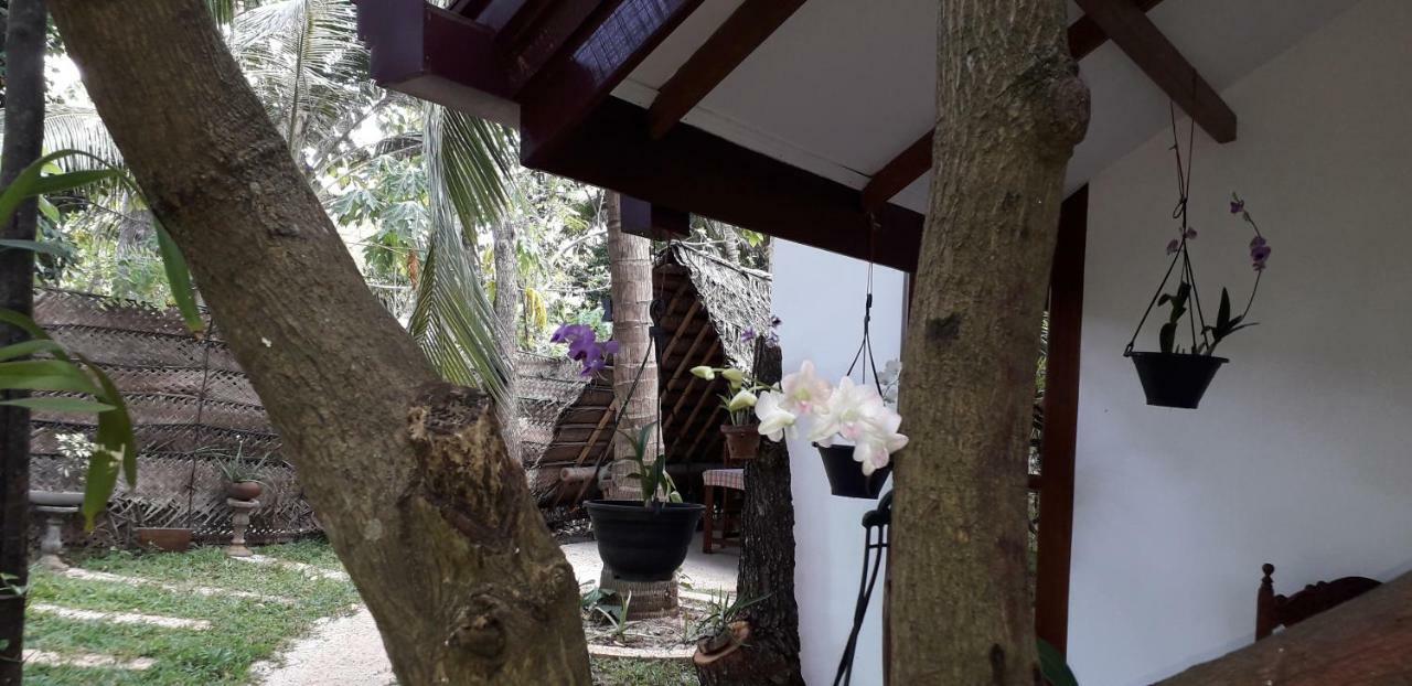 Yaluwa Tourist Rest & Cooking Class Anuradhapura Eksteriør bilde