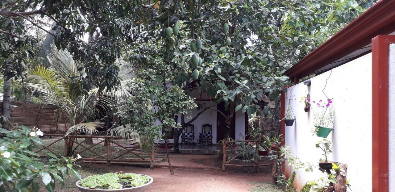 Yaluwa Tourist Rest & Cooking Class Anuradhapura Eksteriør bilde